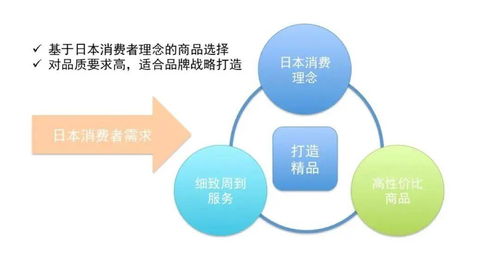 破解日本跨境电商核心痛点，宝丽星以专业运营与系统运维赋能出海之路
